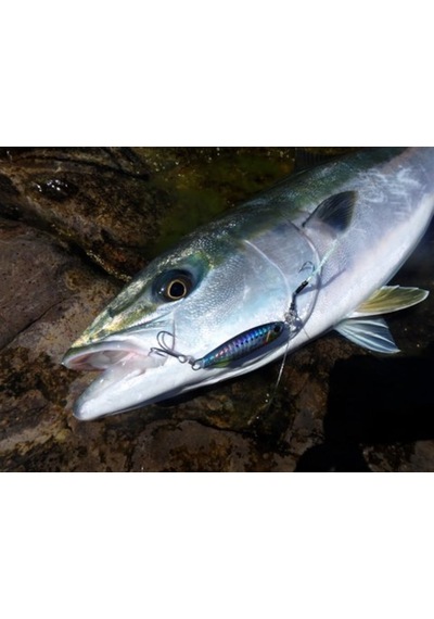 Duo Drag Metal Cast Slim Jig 30Gr. Pha0026 / Red Gold