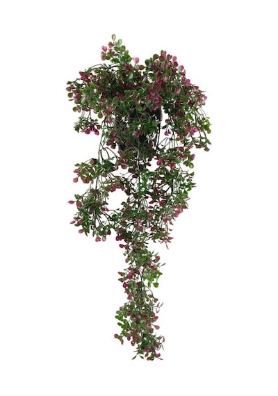 Yapay Çiçek Saksıda Sarkan Bordo Fare Kulağı Şimşir Yapay Sarmaşık Pastel 50cm