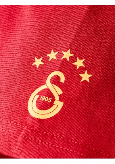 Gsstore Galatasaray Erkek T-shirt E252097 Kırmızı