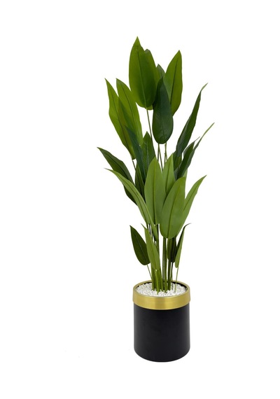 Starliçe 220cm Metal Siyah Gold Saksıda H