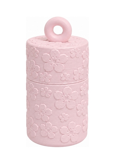 Mini Organizer Anahtarlık Saklama Kutusu Kapaklı Mini Saklama Kabı Takı İlaç Ve Küçük Eşya