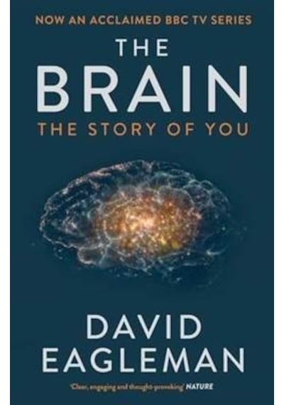 The Brain : The Story of You - David Eagleman - Canongate Books