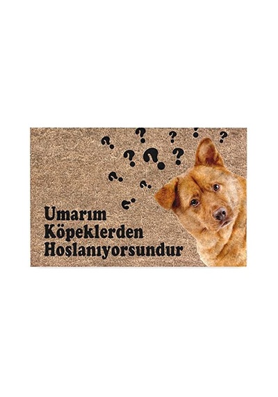 Kedi Köpek Komik Tasarımlı Dekoratif Kapı Önü Paspas, Dış Mekan/ev İçi/banyo/mutfak/yatak Odası/giriş Paspasları Umarım Köpeklerden Hoşlanıyorsundur, 40x60 Sku: Zeusb0b5h9m47c 11ypycoco Kedi Köpek Komik Tasarımlı Dekoratif Kapı Önü Paspas, Dış Mekan/ev İçi/banyo/mutfak/yatak Odası/giriş Paspasları Umarım Köpeklerden Hoşlanıyorsundur, 40x60 Sku: Zeusb0b5h9m47c 11ypycoco