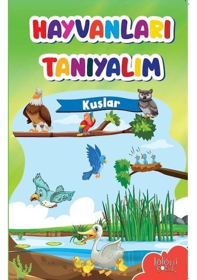 Kuşlar-Hayvanları Tanıyalım- Koloni Çocuk Yayınları