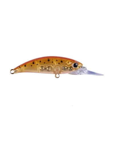 Hanfish Zıpır Ug Colorado Shrimp