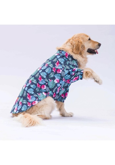 Pawstar Çiçekli Orta Büyük Irk Köpek Gömleği