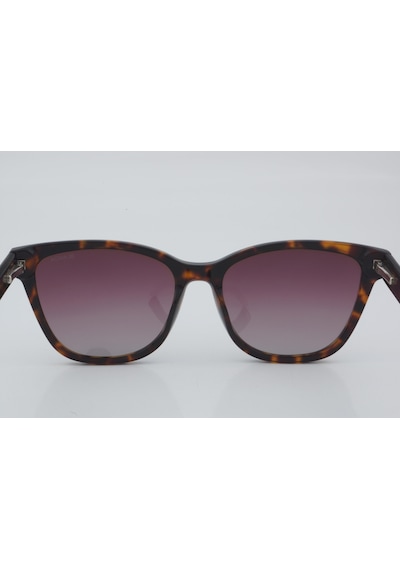 Blancia Bc 1177 C2 53 - 01 Güneş Gözlüğü Leopar
