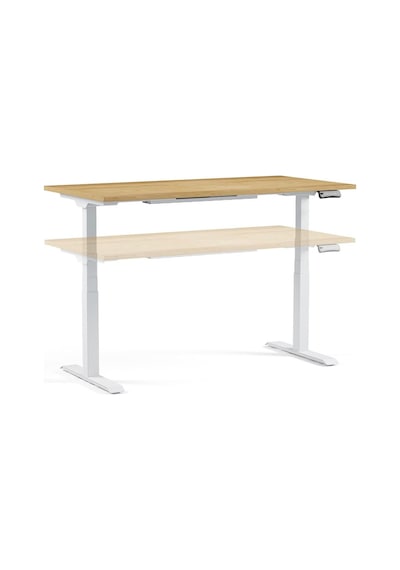 Regula Desk 3p - Elektrikli Yükseklik Ayarlı Çalışma Masası, Çift Motorlu, Bluetooth Kontrollü, 60-125 Cm Ayar A Diğer Regula Desk 3p - Elektrikli Yükseklik Ayarlı Çalışma Masası, Çift Motorlu, Bluetooth Kontrollü, 60-125 Cm Ayar A Diğer