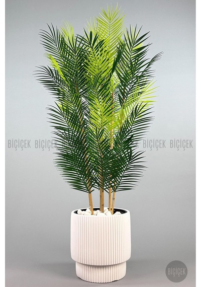 Biçiçek Yapay Areka Palmi̇yesi̇ 48 Yapraklı 150 Cm Beyaz Vega Saksıda