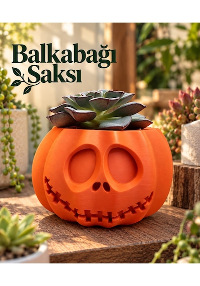 Dekoratif Balkabağı Tasarımlı Saksı