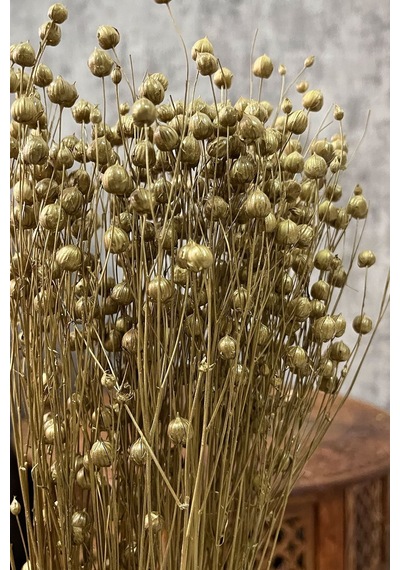 Gold Keten Otu Luna Süslük Vazoluk Aranjman Çiçeği 80 Gr