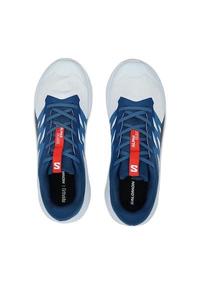 Salomon Alphaglıde Erkek Patika Koşusu Ayakkabısı L47724300 L47724300 Ama Açık Mavi