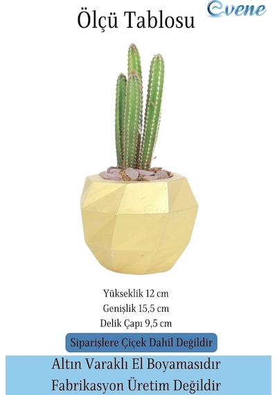 Saksı Çiçek Kaktüs Saksısı Lüx 15 Cm Burgulu Desen Saksı Çiçeklik