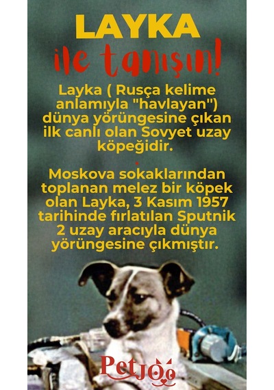 Petjoo 22.Layka Kırmızı-Sarı Qr'lı Köpek Künyesi