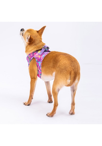 Pawstar Air-mesh Rosea Camouflage Köpek Göğüs Tasması 3xsmall Kamuflaj