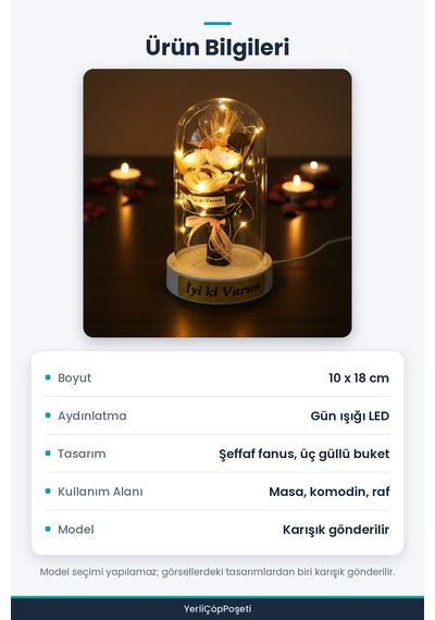 Gül Buketi Ledli Fanus Standart
