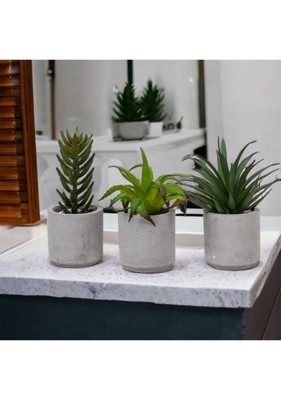 Yapay Çiçekçiniz Beton Saksıda Yapay 3'lü Kaktüs Seti