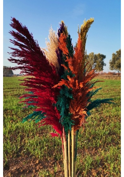 15'li Dekoratif Karışık 100cm Boyunda Pampas Çok Renkli
