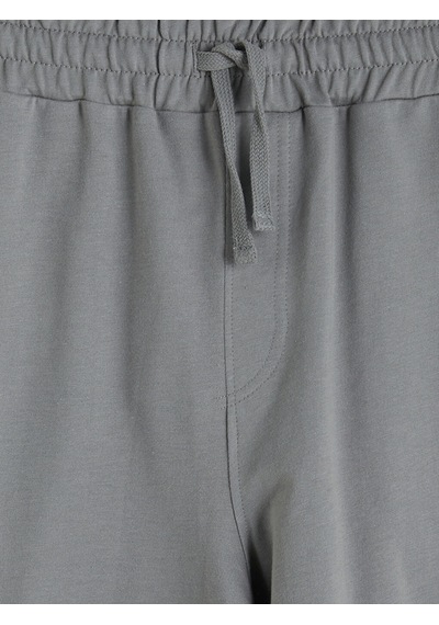 Lcwaıkıkı Classic Gri Regular Fit Erkek Şort