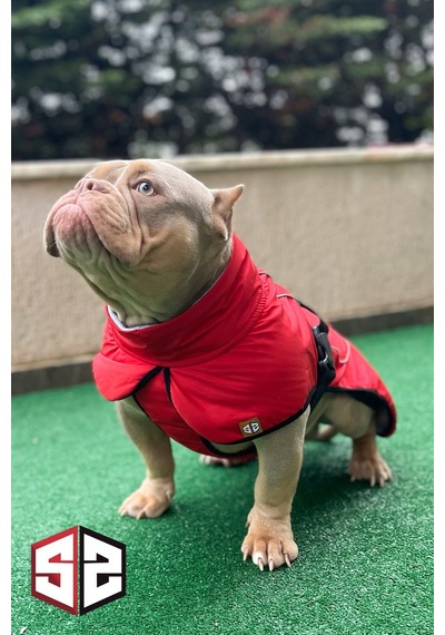 Salya Store Büyük Ve Orta Irk Su Geçirmez Köpek Montu Bkm-101
