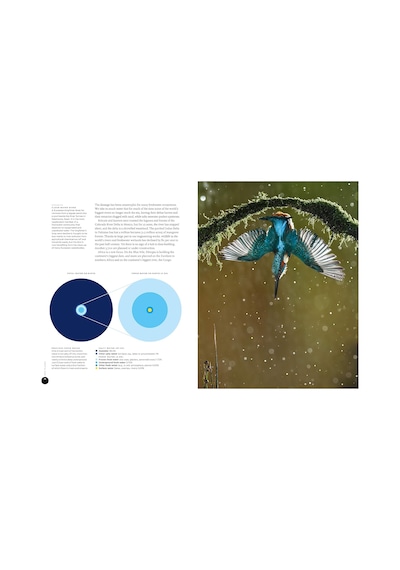 Our Planet: The Official Companion To The Ground-breaking Netflix Original Attenborough Series With