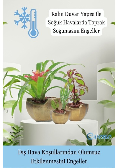 Saksı Çiçek Kaktüs Saksısı Lüx 15 Cm Önü Açık Desenli 3'lü Set Çiçeklik - Altın Eskitme