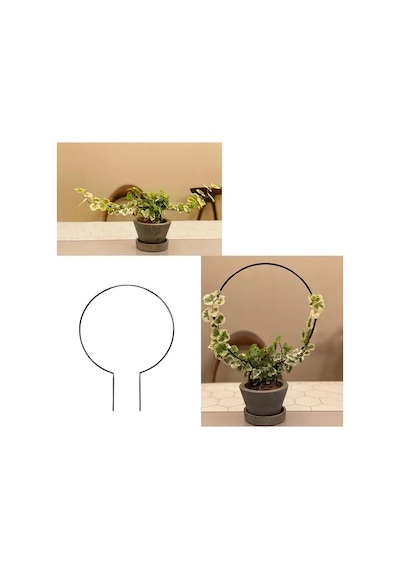 1 Adet Metal Yuvarlak 18x26 Bitki Gövde Destek Sabitleme Dikey Büyüme İçin Pratik & Bitki Tutucu