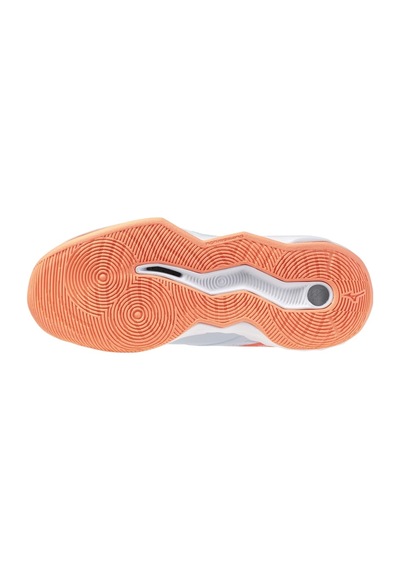 Mizuno Wave Momentum Pro Kadın Voleybol Ayakkabısı Mavi Çok Renkli