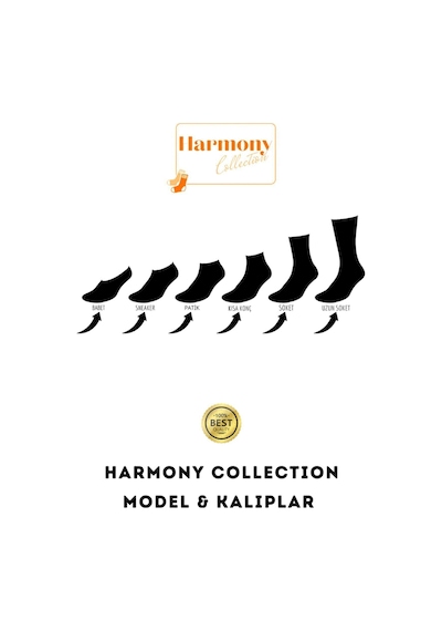 Harmony Collectıon Bambu Erkek Siyah Patik 6 Çift Özel Kutulu Burun Dikişsiz, Premıum Socks