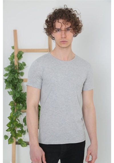 Erkek Bisiklet Yaka Basic T-Shirt - Gri