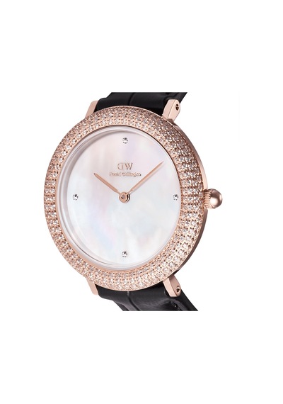 Daniel Wellington Dw00600827 Kadın Kol Saati Diğer