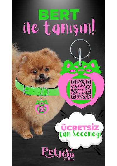 Petjoo 13.Bert Pembe-Yeşil Qr'lı Köpek Künyesi