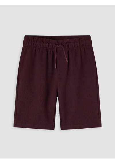 Lcw Vision Kahverengi Regular Fit Pike Erkek Şort