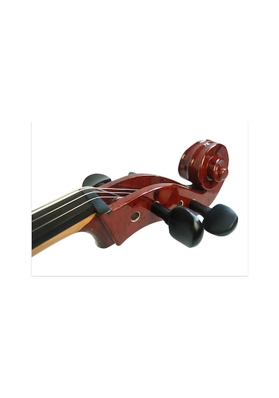 Kınglos Kng Dsdt-1601 Elektro Cello 4/4 Kutulu