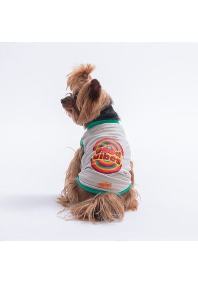 Grey-gri Good Vibes Tişört Kedi Köpek Tişörtü-kedi Köpek Kıyafeti