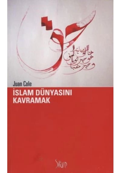 İslam Dünyasını Kavramak