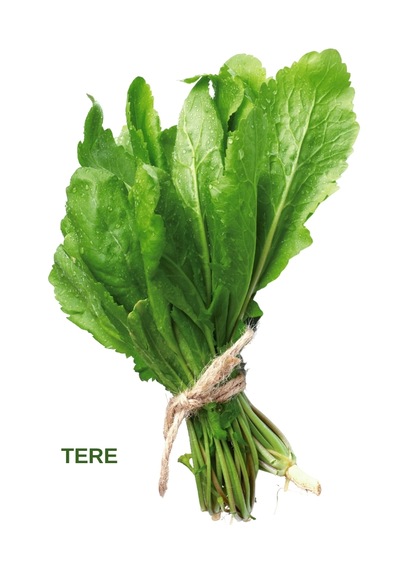 Yeşillik Tohumları Maydanoz, Tere, Roka, Dereotu 20 Gr.' Lık Paketlerde 20 Gr.