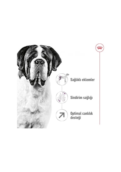 Royal Canin Giant Dev Irk Yetişkin Köpek Maması 15 KG