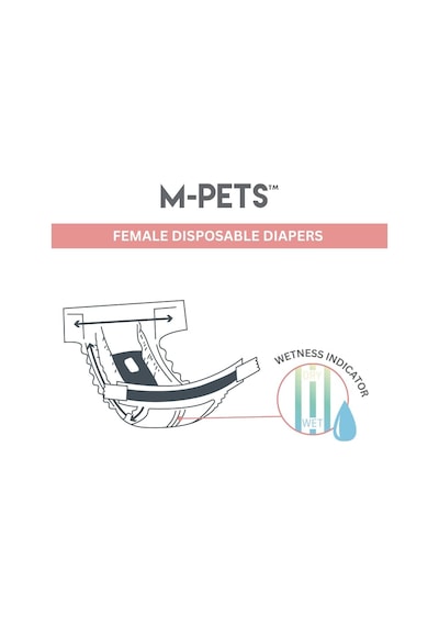 Dıapers Dişi Köpekler İçin Külot Xs 10lu