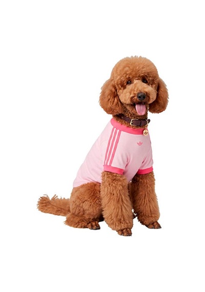 Adidas Pet Collar Tasma Ky8799 Kırmızı