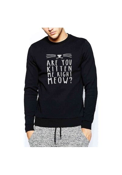 Are You Kitten Me Meow Baskılı Siyah Erkek Örme Sweatshirt