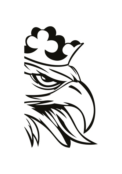Scania Kartal Tır Sticker, Oto Sticker, Traktör Stciker 35x21 Cm-sağ Sol Takım