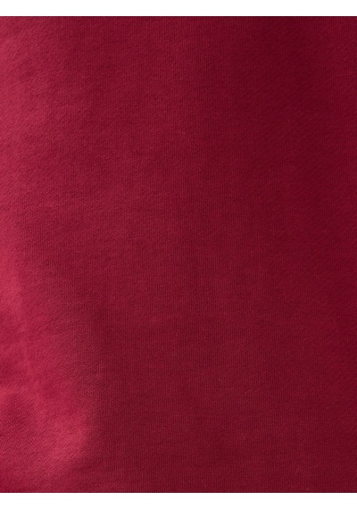 Regular Fit Erkek Sweatshirt Red Wine