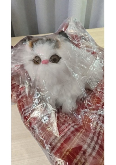 Sesli Kendinden Yataklı Yapışık Kedicik Ürün Boyutu Yatak Dahil 23cm 23 Cm
