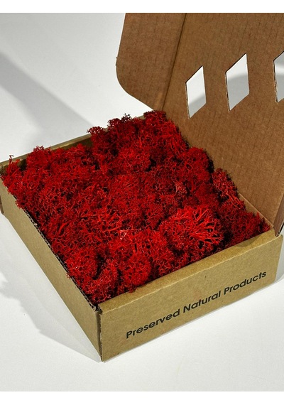 Reindermoss Şoklanmış Norveç Yosunu Terarium Yosunu Kırmızı 100 Gr.