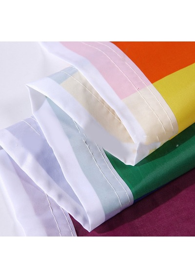 İlerleme, Gökkuşağı Bayrağı 3x5ft Polyester Lgbtq Solmasına Dayanıklı Su Geçirmez Bayrak Diğer