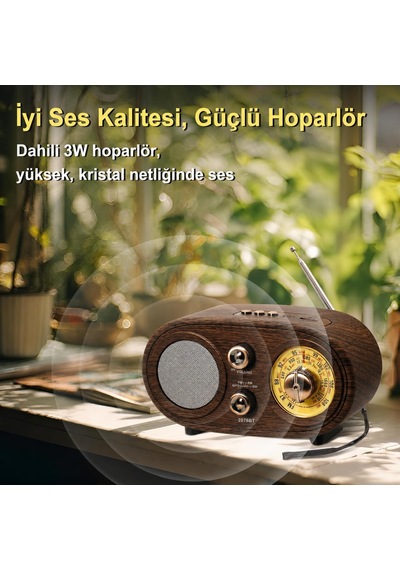 Bluetooth Fm/am/sw Retro Radyo 1200 Mah Tf Kart Usb Ns-803a Çok renkli
