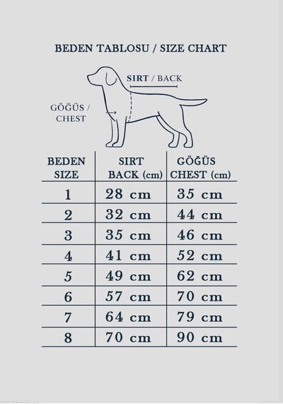Alphadog Teddy Küçük Irk Köpek T-shirtü