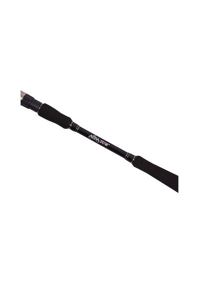 Albastar Novus S Kamış 100-300gr 165cm