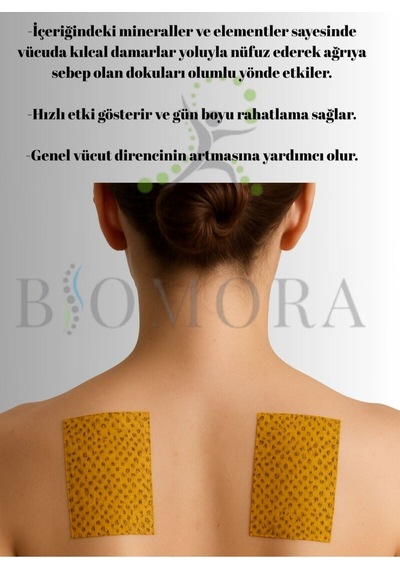 Ginseng Ağrı Bandı 3'lü Paket